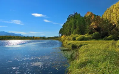 Фото красивой реки в HD качестве для скачивания бесплатно