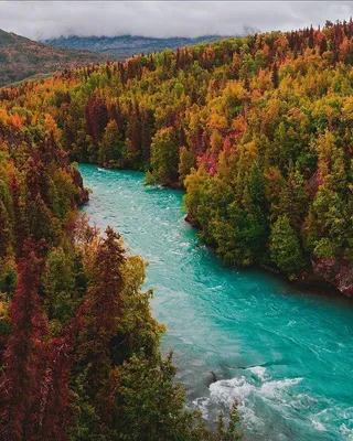 Фото реки на айфон в хорошем качестве