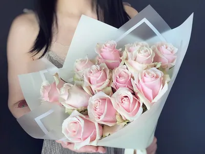 Фото розовых роз, воплощающих нежность