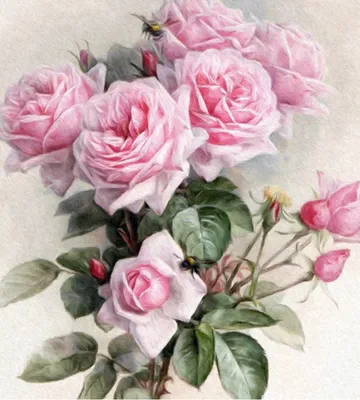 Фото роз в розовом оттенке, идеальное для декора