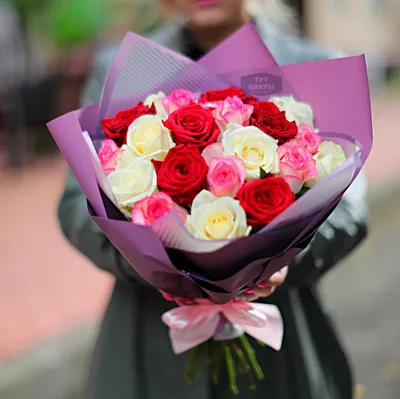 Изображение роз, придающих свежесть и романтику