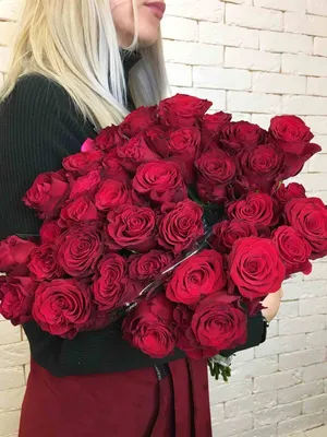 Изображения красивых роз с выбором формата