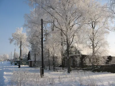 Фотка русской зимы с яркими цветами в PNG