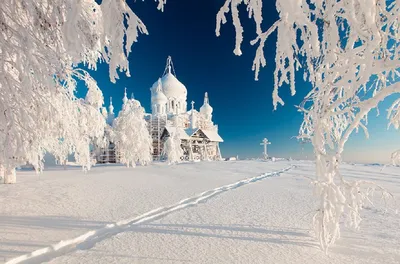 Зимние чудеса России: скачайте красивую картинку