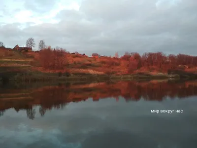 Завораживающие изображения, захватывающие взгляд рыбаков