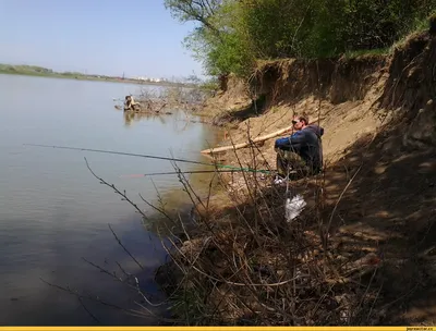 Захватывающие картинки, показывающие разнообразие видов рыбалки