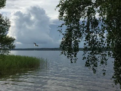 Необычные изображения, отражающие разнообразие моментов на рыбалке в формате JPG