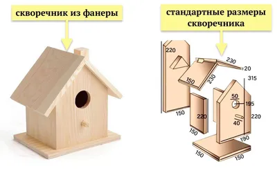 Фото, показывающее красоту скворечников – WebP