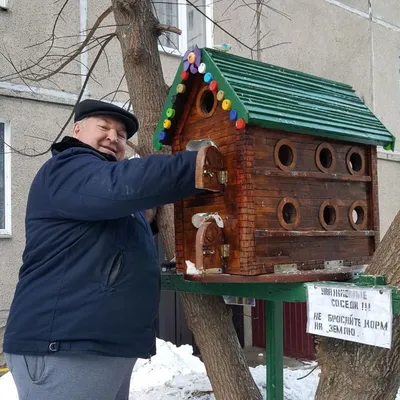 Красивые скворечники, выполненные из натурального дерева – JPG