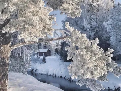 Фотография снега: создайте собственный зимний рай