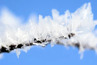 Зимние оттенки в природе: фото с разными параметрами