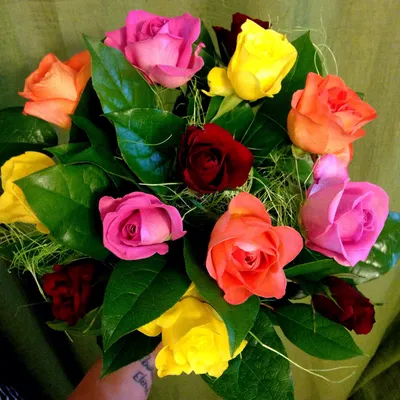 Фотки цветов роз: выбирайте удобный формат