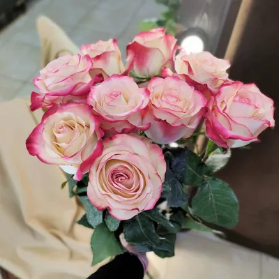Магия цветов: фотографии роз в свободном доступе