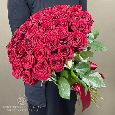Фото розы: выберите свой любимый размер