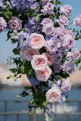 Уникальные картинки цветов роз