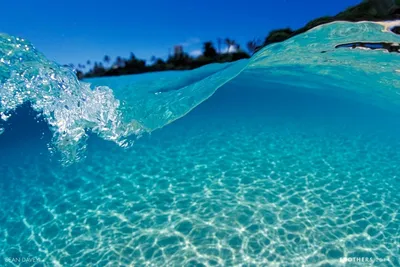 Красивые в воде: Фотка в JPG