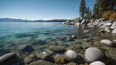 Фотография Красивые в воде в PNG