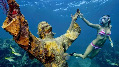 Красивые в воде: Фотка - средний размер