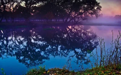 Фотография Красивые в воде - оригинальный размер