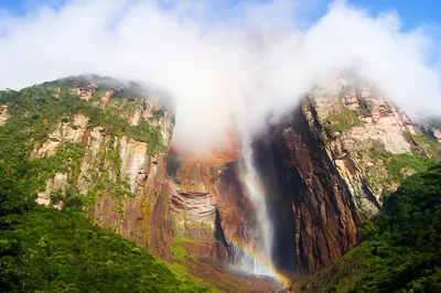 Удивительное изображение великолепного водопада в формате WebP