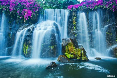 Уникальное изображение великолепного водопада в формате WebP