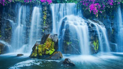 Красочное изображение великолепного водопада в формате WebP для наслаждения при просмотре