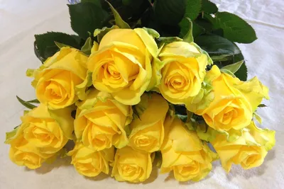 Желтые розы в формате изображения для скачивания