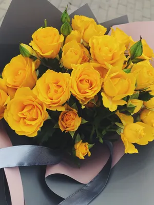 Красивые желтые розы в формате jpg