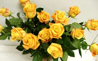 Фотография красивых желтых роз для оформления
