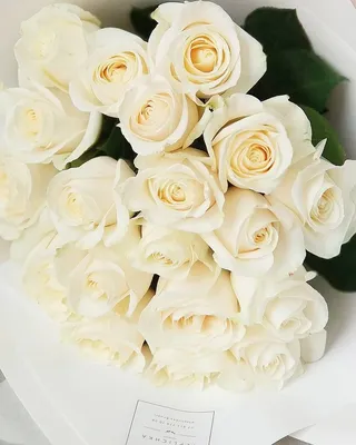 Красивые желтые розы, доступные в разных размерах