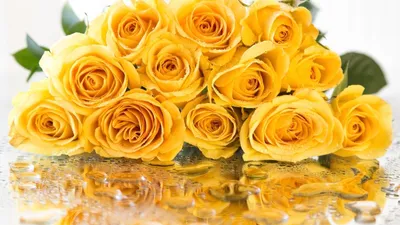 Желтые розы в формате фотографии для сохранения