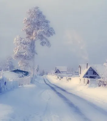 Фотографии красивых зимних пейзажей в деревне