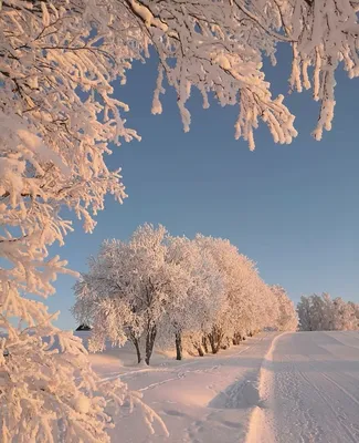 Фотографии живописных зимних пейзажей в деревне