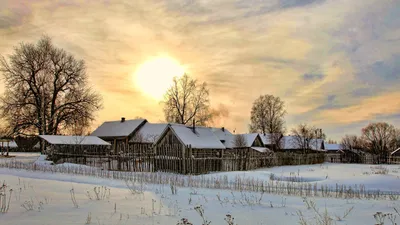 Фотографии живописной зимней местности в деревне