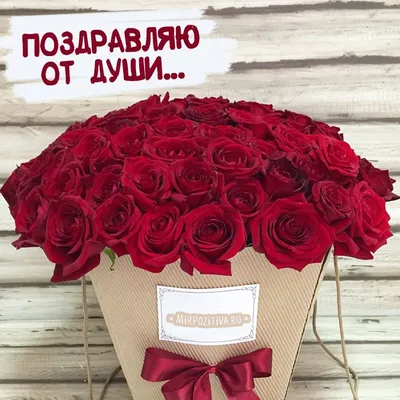 Красивый букет роз с днем рождения фотографии