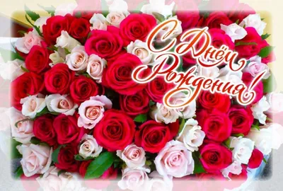 Идеальная картинка букета роз с днем рождения