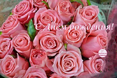Прекрасная фотка букета роз с днем рождения