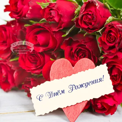 Очаровательная фотка букета роз с днем рождения для скачивания в png