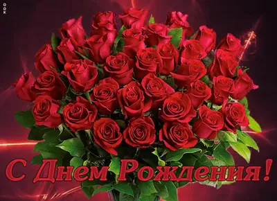 Прекрасный букет роз с днем рождения в формате webp