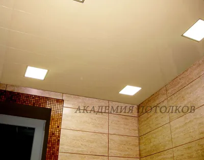 Фото потолка в ванной комнате в WebP формате
