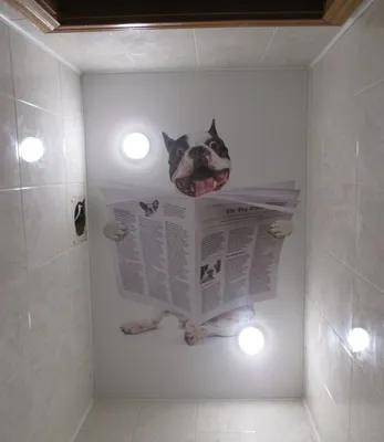 Изображение потолка в ванной комнате в новом формате