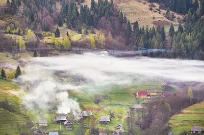 Весенний взгляд: фотография красивого весеннего пейзажа