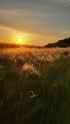 Картинка красивого заката для вашего наслаждения