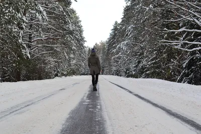 Фото леса зимой, сделанные в 2024 году