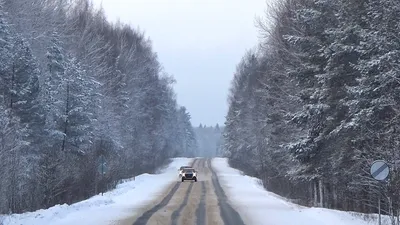 Фото на андроид с захватывающим видом зимнего леса