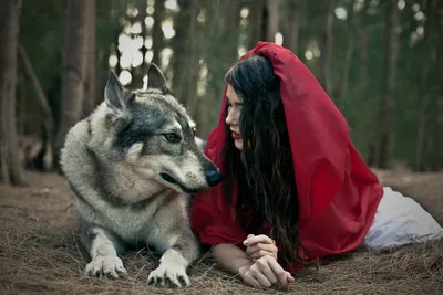 Изображения Красная шапочка и волк в хорошем качестве