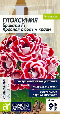 Фото в красно-белых тонах: загадочность и таинственность