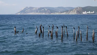 Фото Краснодара: прекрасный отдых на море