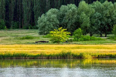 Фото Краснодар реки Кубань: бесплатно скачать в Full HD