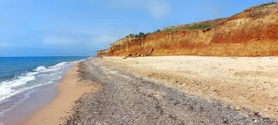 Рассмотрите морское разнообразие Краснодарского края через фотообъектив